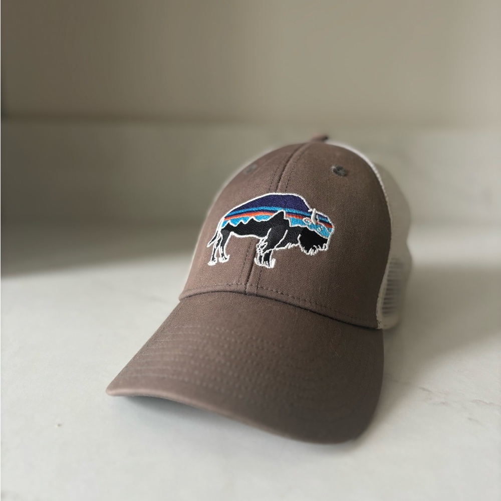Patagonia fits Roy bison hat baseball trucker mesh grey and white